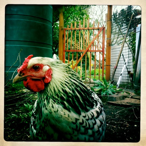 Blanca with southern cistern