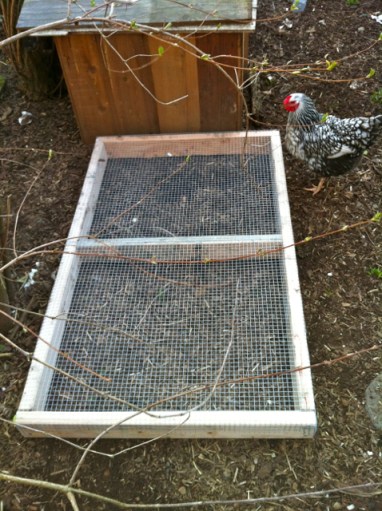 Blanca, The White Queen, takes a look