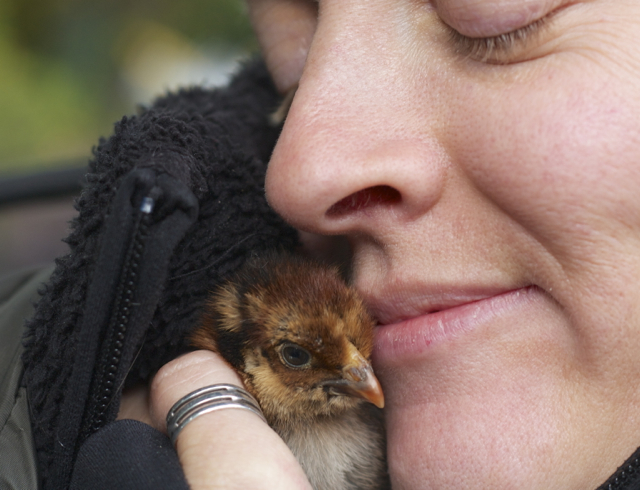 Her Fluffiness Sweet Pea