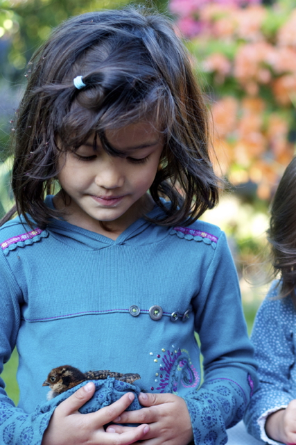 Jewel was a model chick-holder