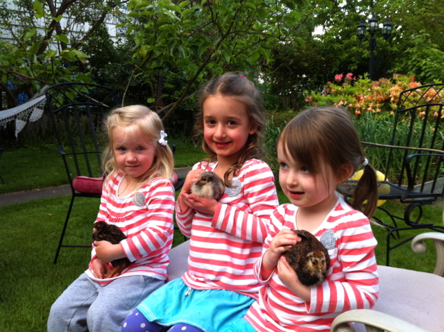 My nieces Kinsey, Evy, and Clara, each with her own chick