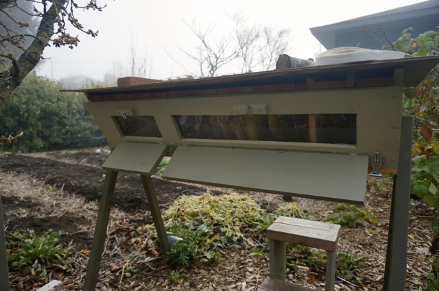 Italian hive drawn out to top bar 20 in 2013