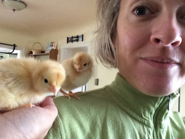 Princesses Buttercup and Butterscotch