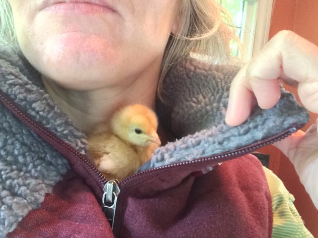 Photo Oct 13, 11 28 18 AM