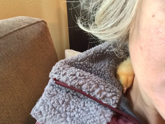 Photo Oct 13, 9 10 23 AM