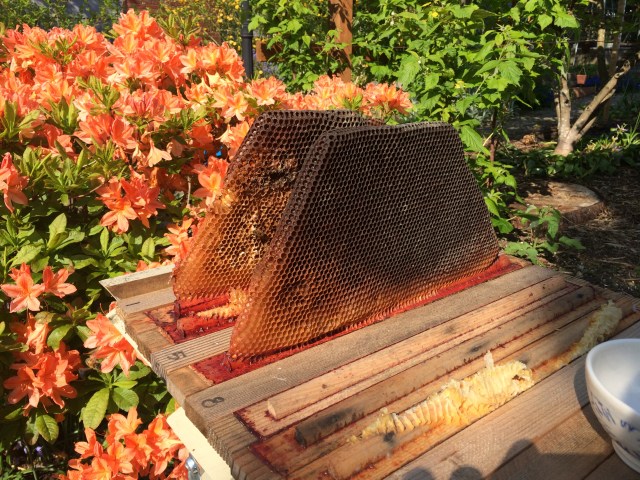 Old combs will be recycled