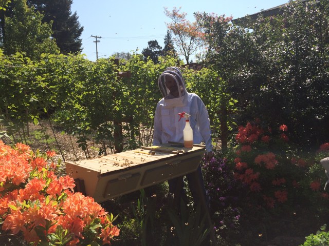 Beek Scott following installation