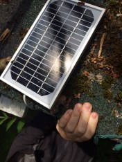 Solar panel to keep battery charged for Pullet-Shut