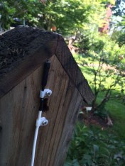 Light sensor for Pullet-Shut mounted on back of bird house
