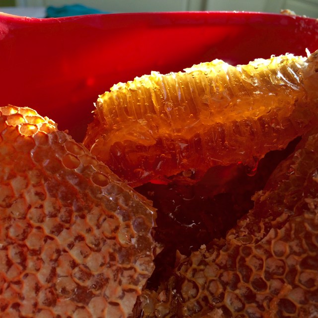 Photo Nov 22, 2 52 30 PM