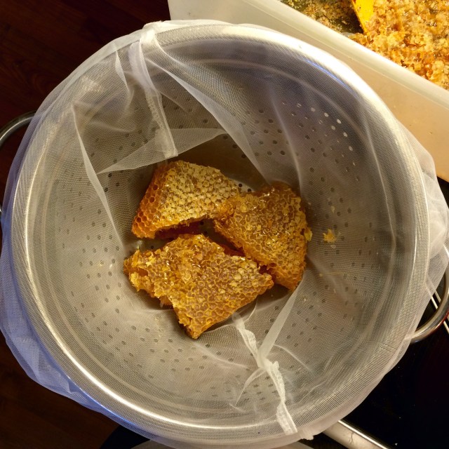 Photo Nov 22, 4 24 12 PM