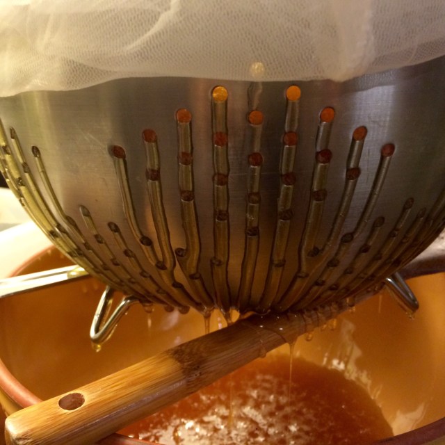 Photo Nov 22, 5 06 00 PM