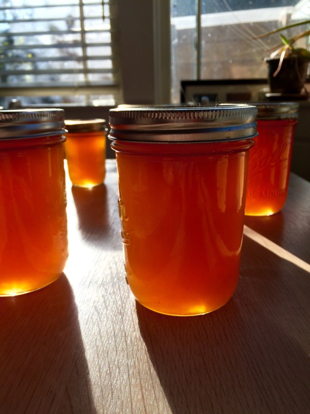 Photo Nov 25, 10 41 26 AM