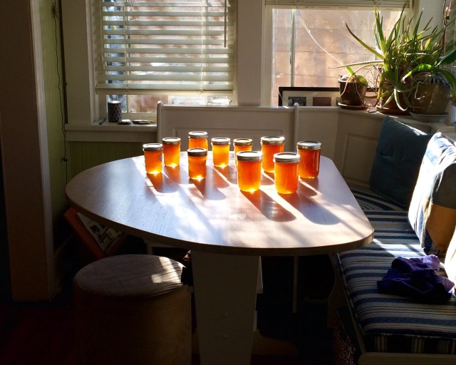 Photo Nov 25, 10 47 46 AM