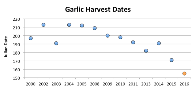 GarlicHarvestDates