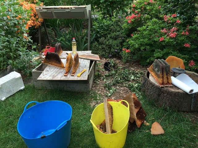 Photo Apr 23, 1 36 45 PM