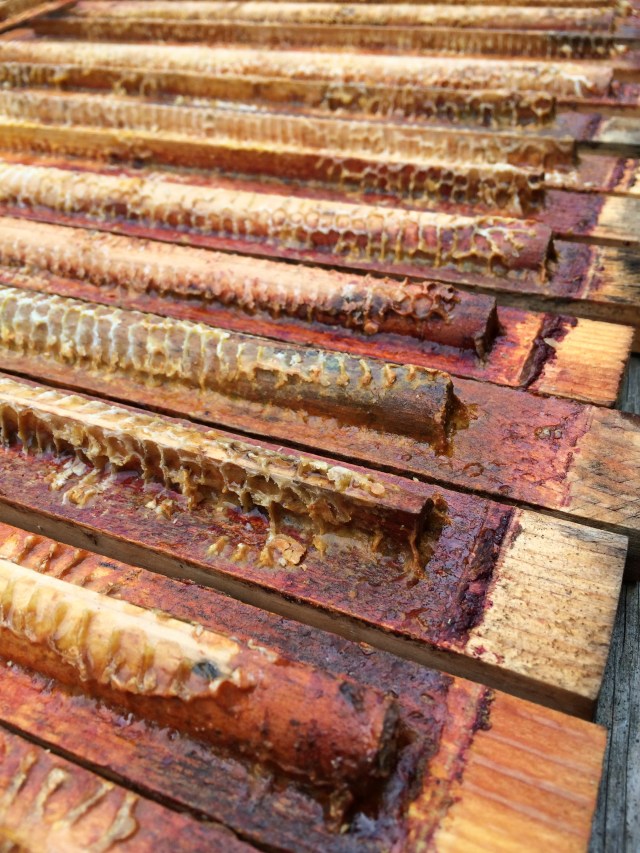 Photo Apr 23, 5 18 58 PM