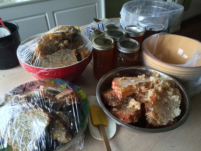 Photo Apr 27, 2 08 52 PM