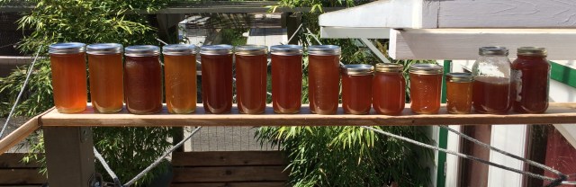 Photo Apr 30, 2 01 07 PM