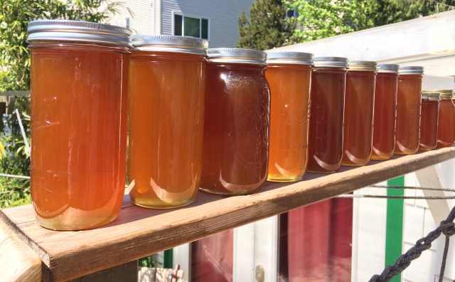 Photo Apr 30, 2 01 43 PM