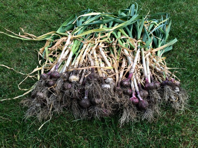 Photo Jun 02, 3 09 32 PM